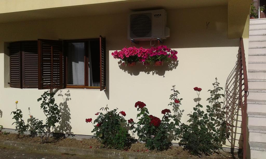 Apartment Adela Kotor Luaran gambar