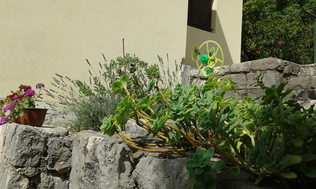 Apartment Adela Kotor Luaran gambar