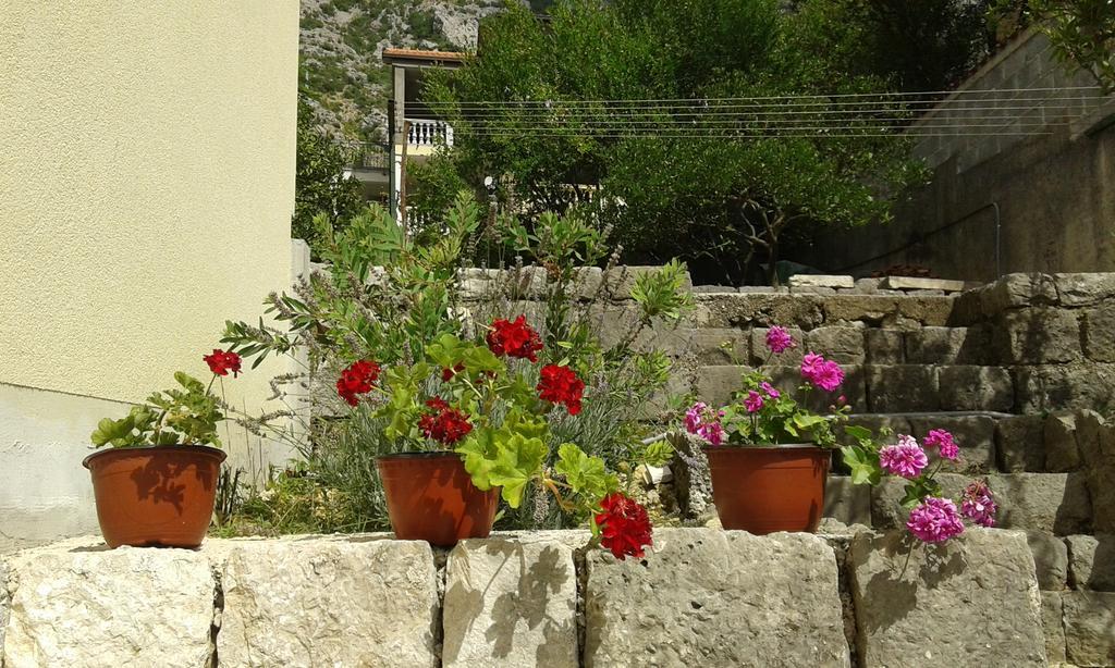 Apartment Adela Kotor Luaran gambar